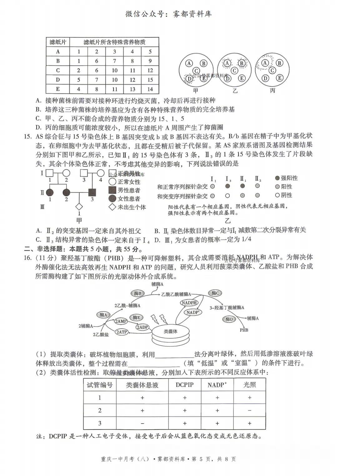 重庆一中2026届高三5月全真模拟适应性考试生物试卷+答案 第9张 重庆一中2026届高三5月全真模拟适应性考试生物试卷+答案 第9张