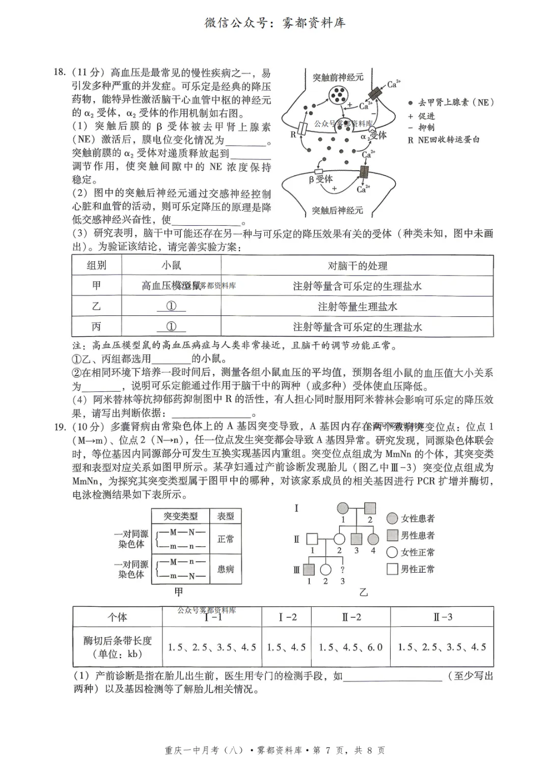 重庆一中2026届高三5月全真模拟适应性考试生物试卷+答案 第11张 重庆一中2026届高三5月全真模拟适应性考试生物试卷+答案 第11张