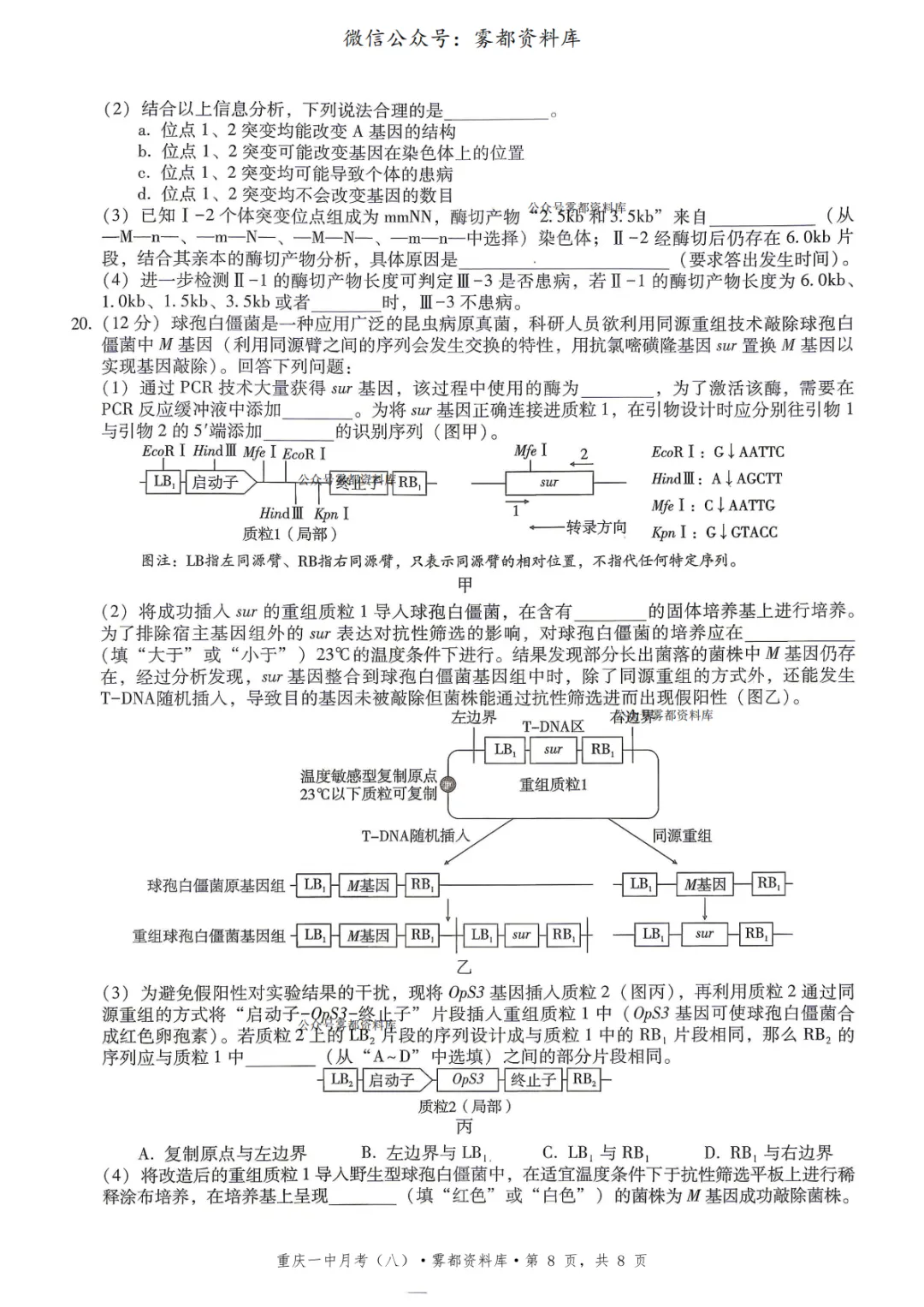 重庆一中2026届高三5月全真模拟适应性考试生物试卷+答案 第12张 重庆一中2026届高三5月全真模拟适应性考试生物试卷+答案 第12张