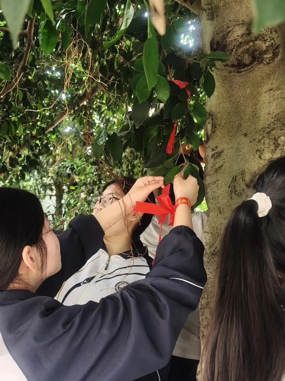 艺术助威 中考壮行——玉环市钓艚学校举行中考壮行仪式暨校园艺术节开幕式 第36张