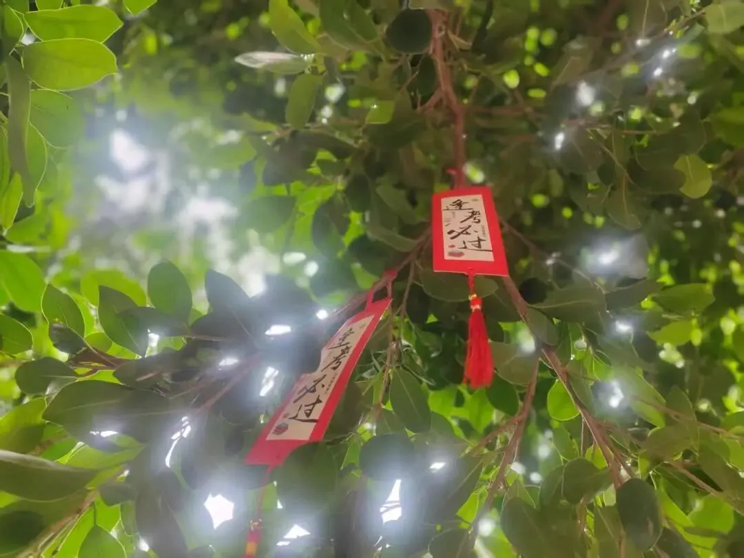 艺术助威 中考壮行——玉环市钓艚学校举行中考壮行仪式暨校园艺术节开幕式 第43张
