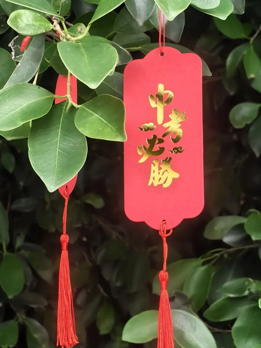 艺术助威 中考壮行——玉环市钓艚学校举行中考壮行仪式暨校园艺术节开幕式 第44张