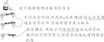 中考化学基础知识复习大全,基础知识+实验-第22张图片-四季读书网