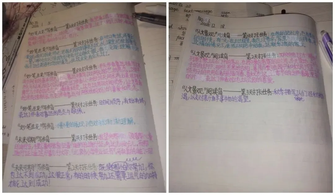 深度专访 | 中考分流下,普通家庭如何用两个假期帮孩子“托底”?-第4张图片-四季读书网
