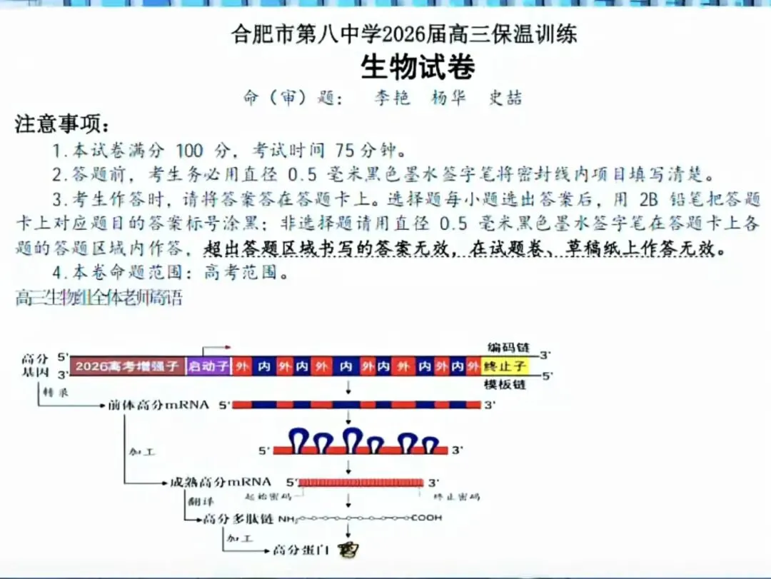 破防了:藏在高三最后一套试卷里的温柔-第9张图片-四季读书网