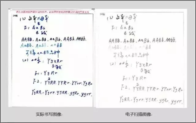 中考试卷扫描后长这样?老师如何阅卷?评卷误差是怎么产生的?什么样的答卷能得高分!-第4张图片-四季读书网