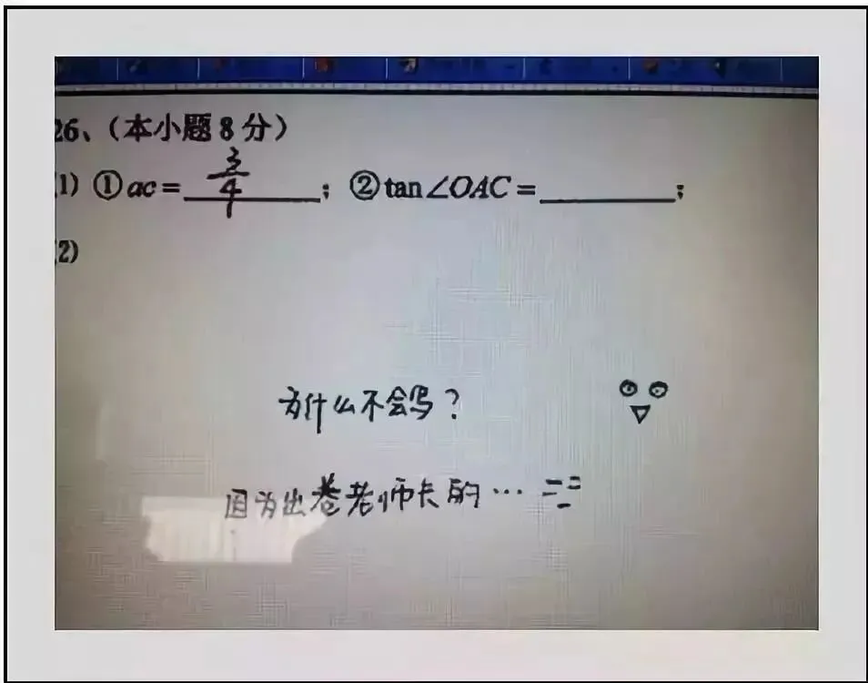 中考试卷扫描后长这样?老师如何阅卷?评卷误差是怎么产生的?什么样的答卷能得高分!-第10张图片-四季读书网