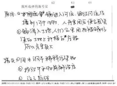 中考试卷扫描后长这样?老师如何阅卷?评卷误差是怎么产生的?什么样的答卷能得高分!-第13张图片-四季读书网
