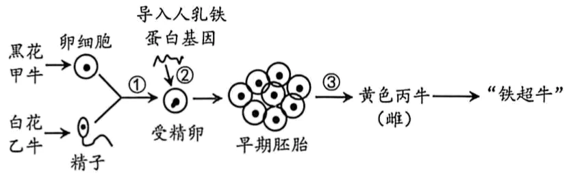2026年中考生物选择题强化题库100题2-第5张图片-四季读书网 2026年中考生物选择题强化题库100题2-第5张图片-四季读书网
