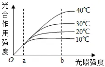 2026年中考生物选择题强化题库100题2-第11张图片-四季读书网 2026年中考生物选择题强化题库100题2-第11张图片-四季读书网