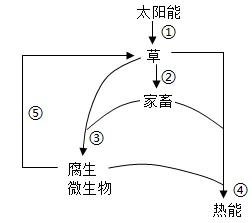 2026年中考生物选择题强化题库100题2-第12张图片-四季读书网 2026年中考生物选择题强化题库100题2-第12张图片-四季读书网