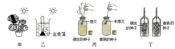 2026年中考生物选择题强化题库100题2-第15张图片-四季读书网 2026年中考生物选择题强化题库100题2-第15张图片-四季读书网