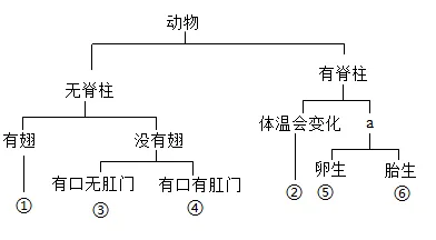2026年中考生物选择题强化题库100题2-第23张图片-四季读书网 2026年中考生物选择题强化题库100题2-第23张图片-四季读书网