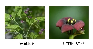 2026年中考生物选择题强化题库100题2-第25张图片-四季读书网 2026年中考生物选择题强化题库100题2-第25张图片-四季读书网