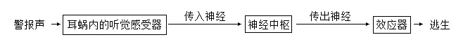 2026年中考生物选择题强化题库100题2-第30张图片-四季读书网 2026年中考生物选择题强化题库100题2-第30张图片-四季读书网