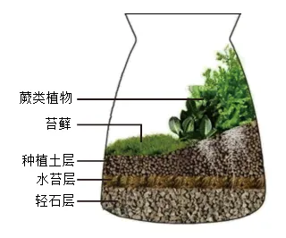 2026年中考生物选择题强化题库100题2-第33张图片-四季读书网 2026年中考生物选择题强化题库100题2-第33张图片-四季读书网