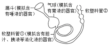 2026年中考生物选择题强化题库100题2-第44张图片-四季读书网 2026年中考生物选择题强化题库100题2-第44张图片-四季读书网