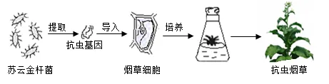 2026年中考生物选择题强化题库100题2-第50张图片-四季读书网 2026年中考生物选择题强化题库100题2-第50张图片-四季读书网