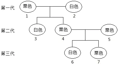 2026年中考生物选择题强化题库100题2-第56张图片-四季读书网 2026年中考生物选择题强化题库100题2-第56张图片-四季读书网