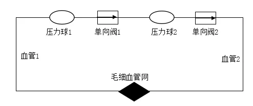 2026年中考生物选择题强化题库100题2-第59张图片-四季读书网 2026年中考生物选择题强化题库100题2-第59张图片-四季读书网