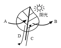 2026年中考生物选择题强化题库100题2-第61张图片-四季读书网 2026年中考生物选择题强化题库100题2-第61张图片-四季读书网