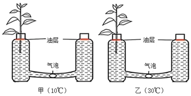2026年中考生物选择题强化题库100题2-第62张图片-四季读书网 2026年中考生物选择题强化题库100题2-第62张图片-四季读书网