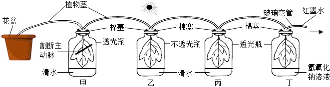 2026年中考生物选择题强化题库100题2-第68张图片-四季读书网 2026年中考生物选择题强化题库100题2-第68张图片-四季读书网