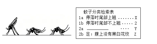 2026年中考生物选择题强化题库100题2-第69张图片-四季读书网 2026年中考生物选择题强化题库100题2-第69张图片-四季读书网