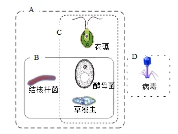 2026年中考生物选择题强化题库100题2-第70张图片-四季读书网 2026年中考生物选择题强化题库100题2-第70张图片-四季读书网