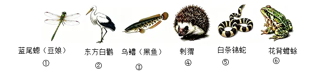 2026年中考生物选择题强化题库100题2-第72张图片-四季读书网 2026年中考生物选择题强化题库100题2-第72张图片-四季读书网