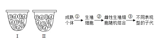 2026年中考生物选择题强化题库100题2-第74张图片-四季读书网 2026年中考生物选择题强化题库100题2-第74张图片-四季读书网