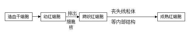 2026年中考生物选择题强化题库100题2-第75张图片-四季读书网 2026年中考生物选择题强化题库100题2-第75张图片-四季读书网