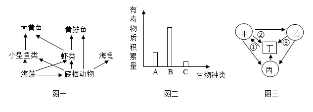2026年中考生物选择题强化题库100题2-第77张图片-四季读书网 2026年中考生物选择题强化题库100题2-第77张图片-四季读书网