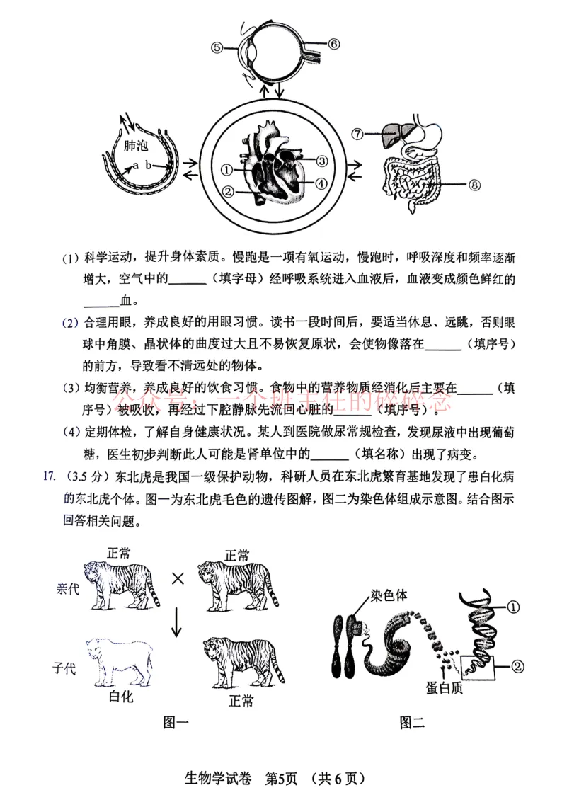 2026.5营口八年生物、地理二模试卷及答案-第5张图片-四季读书网