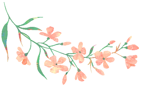 凝心聚力迎中考,家校同心筑前程——梅县区北实双语学校九年级顺利召开家长会-第9张图片-四季读书网 凝心聚力迎中考,家校同心筑前程——梅县区北实双语学校九年级顺利召开家长会-第9张图片-四季读书网