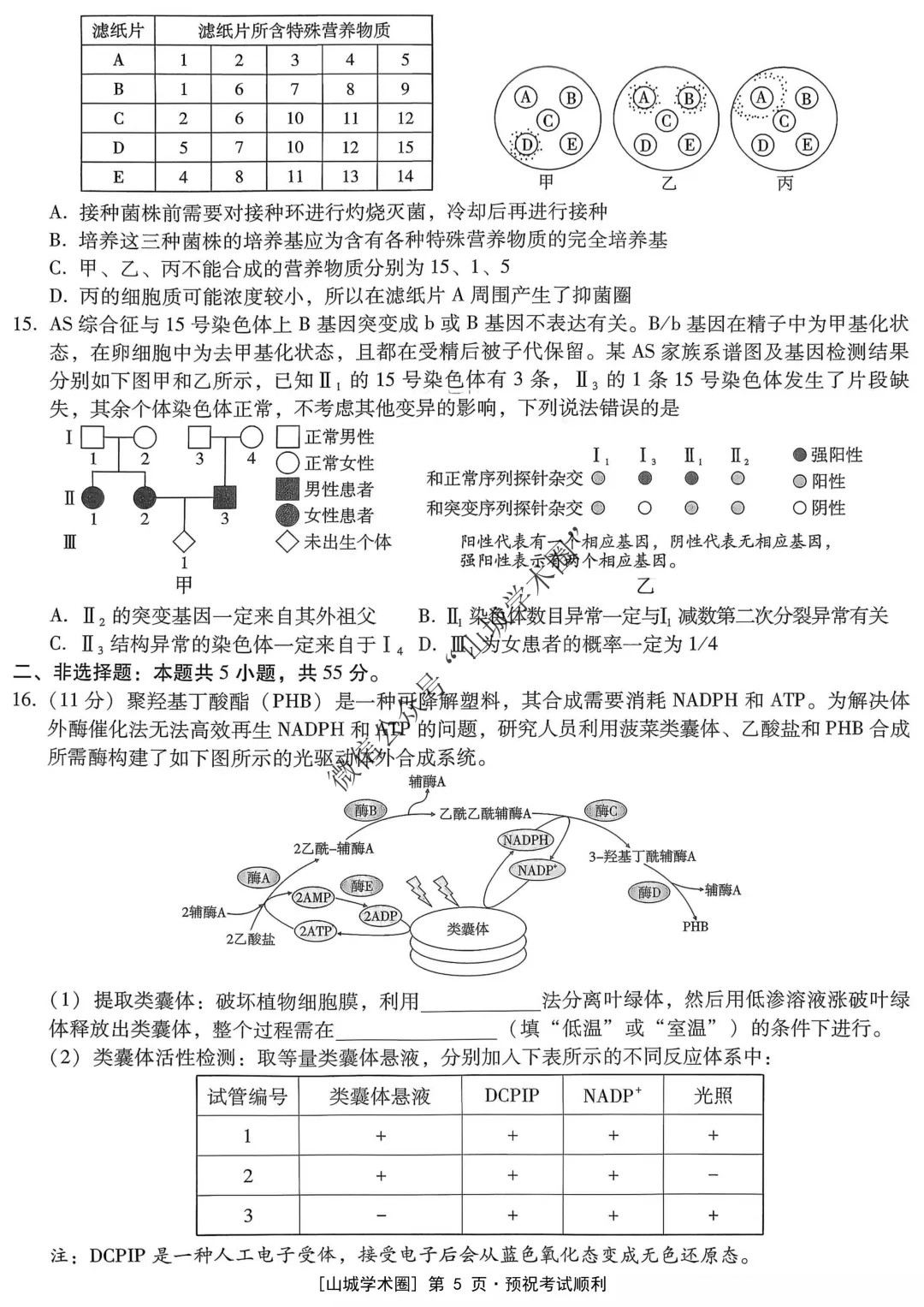 重庆一中高2026届高三5月高考模拟考试生物试题+答案-第6张图片-四季读书网