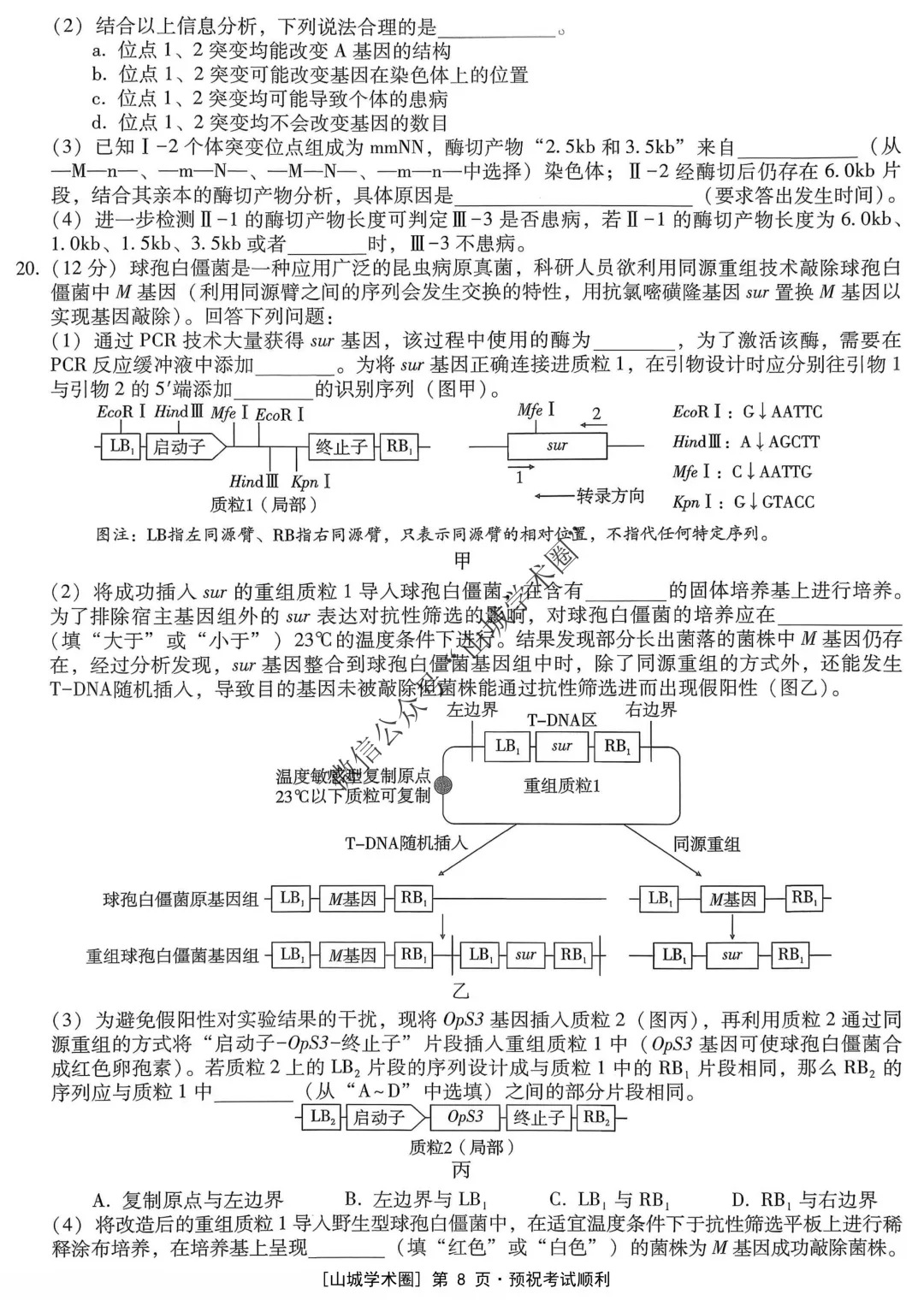 重庆一中高2026届高三5月高考模拟考试生物试题+答案-第9张图片-四季读书网
