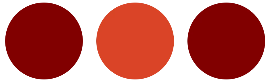 浙师附中助力中考 | 英语篇-第16张图片-四季读书网 浙师附中助力中考 | 英语篇-第16张图片-四季读书网