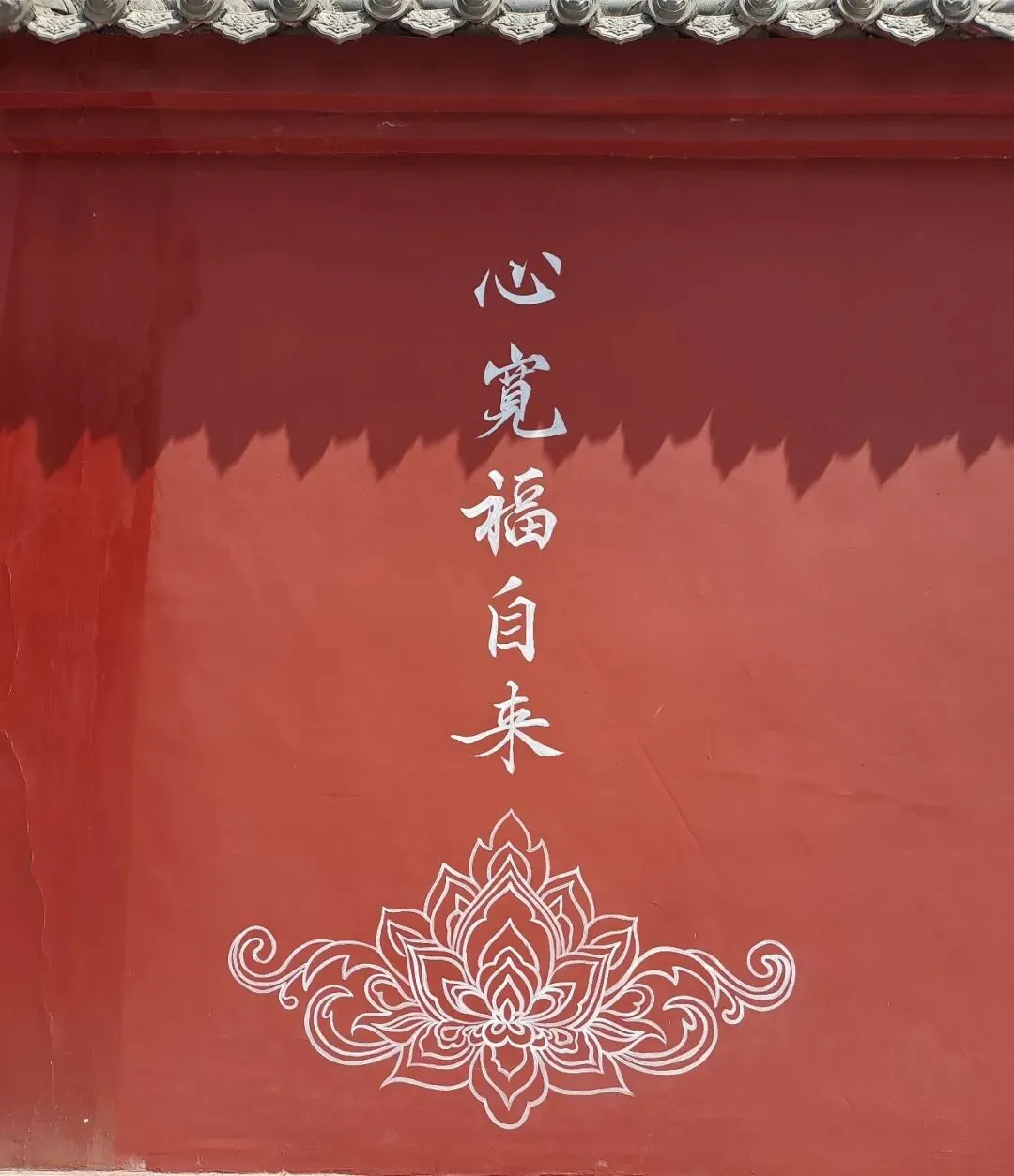 中考冲刺复习笔记-第2张图片-四季读书网