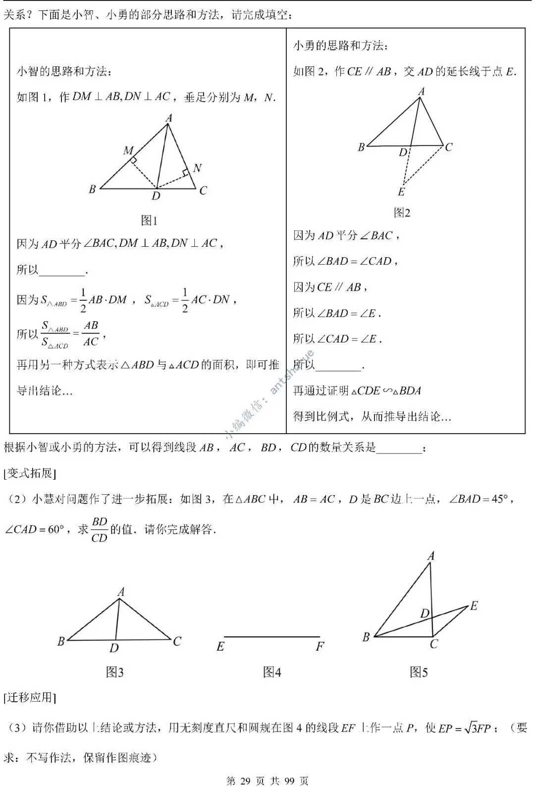 中考满分:“相似三角形”通关(12个题型+6类易错+9种方法)含word-第29张图片-四季读书网