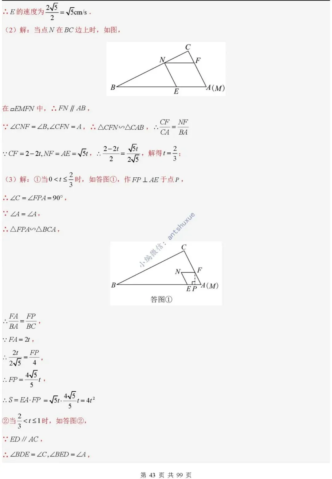 中考满分:“相似三角形”通关(12个题型+6类易错+9种方法)含word-第43张图片-四季读书网