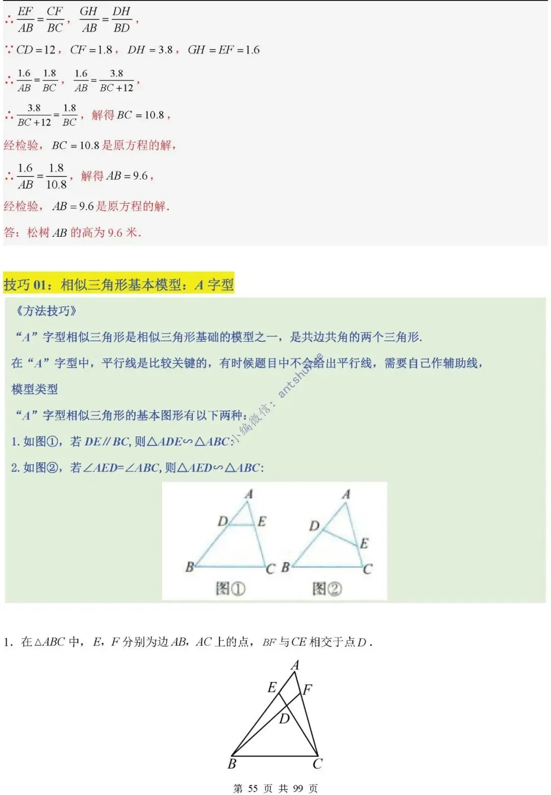 中考满分:“相似三角形”通关(12个题型+6类易错+9种方法)含word-第55张图片-四季读书网