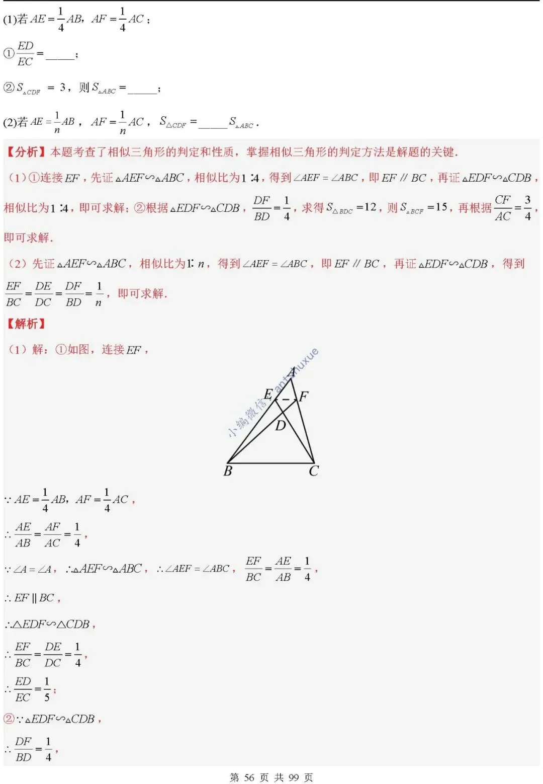 中考满分:“相似三角形”通关(12个题型+6类易错+9种方法)含word-第56张图片-四季读书网