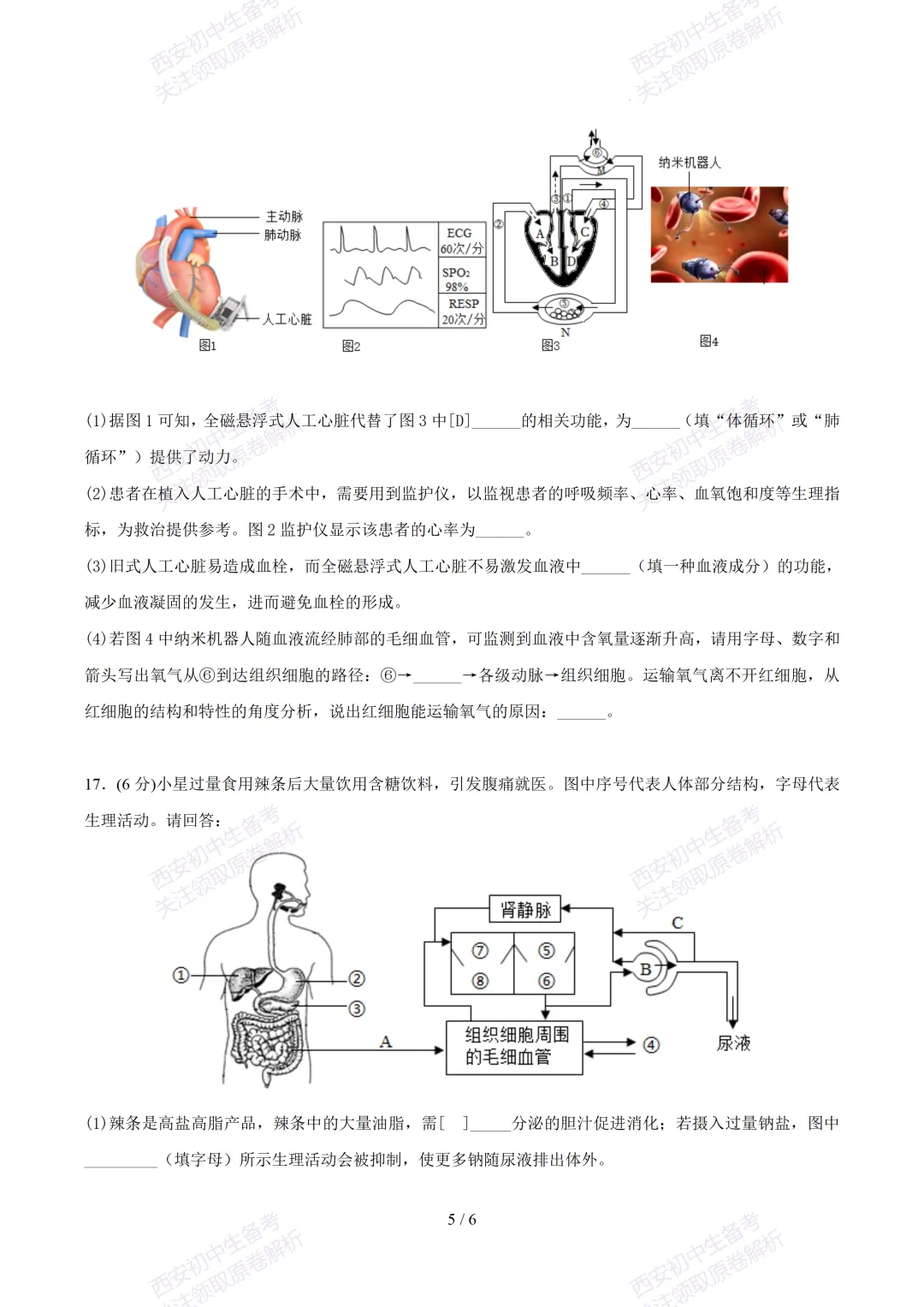 【2026陕西生物中考】考前冲刺押题卷!内含超详细解析-第11张图片-四季读书网 【2026陕西生物中考】考前冲刺押题卷!内含超详细解析-第11张图片-四季读书网