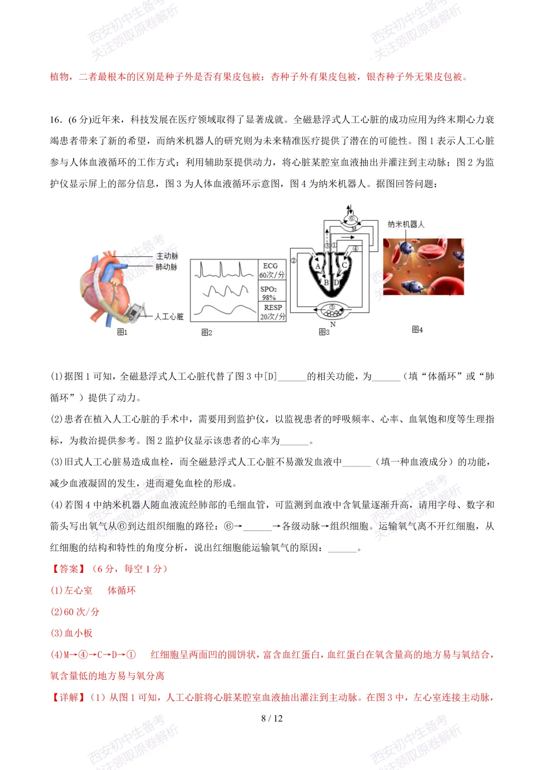 【2026陕西生物中考】考前冲刺押题卷!内含超详细解析-第21张图片-四季读书网 【2026陕西生物中考】考前冲刺押题卷!内含超详细解析-第21张图片-四季读书网