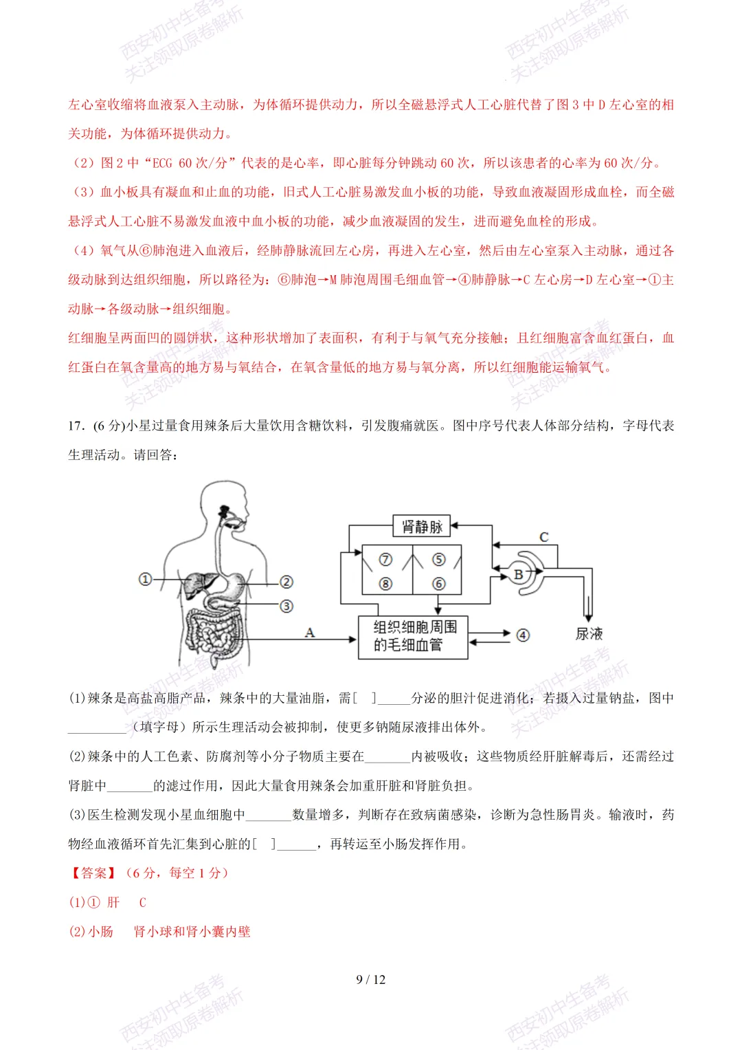【2026陕西生物中考】考前冲刺押题卷!内含超详细解析-第22张图片-四季读书网 【2026陕西生物中考】考前冲刺押题卷!内含超详细解析-第22张图片-四季读书网