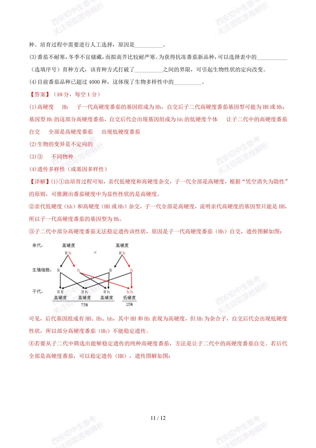 【2026陕西生物中考】考前冲刺押题卷!内含超详细解析-第24张图片-四季读书网 【2026陕西生物中考】考前冲刺押题卷!内含超详细解析-第24张图片-四季读书网