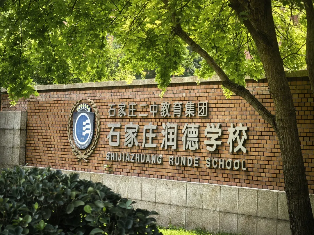 中考择校,别只看学校整体升学率,班型的出口率才决定孩子的未来!-第3张图片-四季读书网 中考择校,别只看学校整体升学率,班型的出口率才决定孩子的未来!-第3张图片-四季读书网