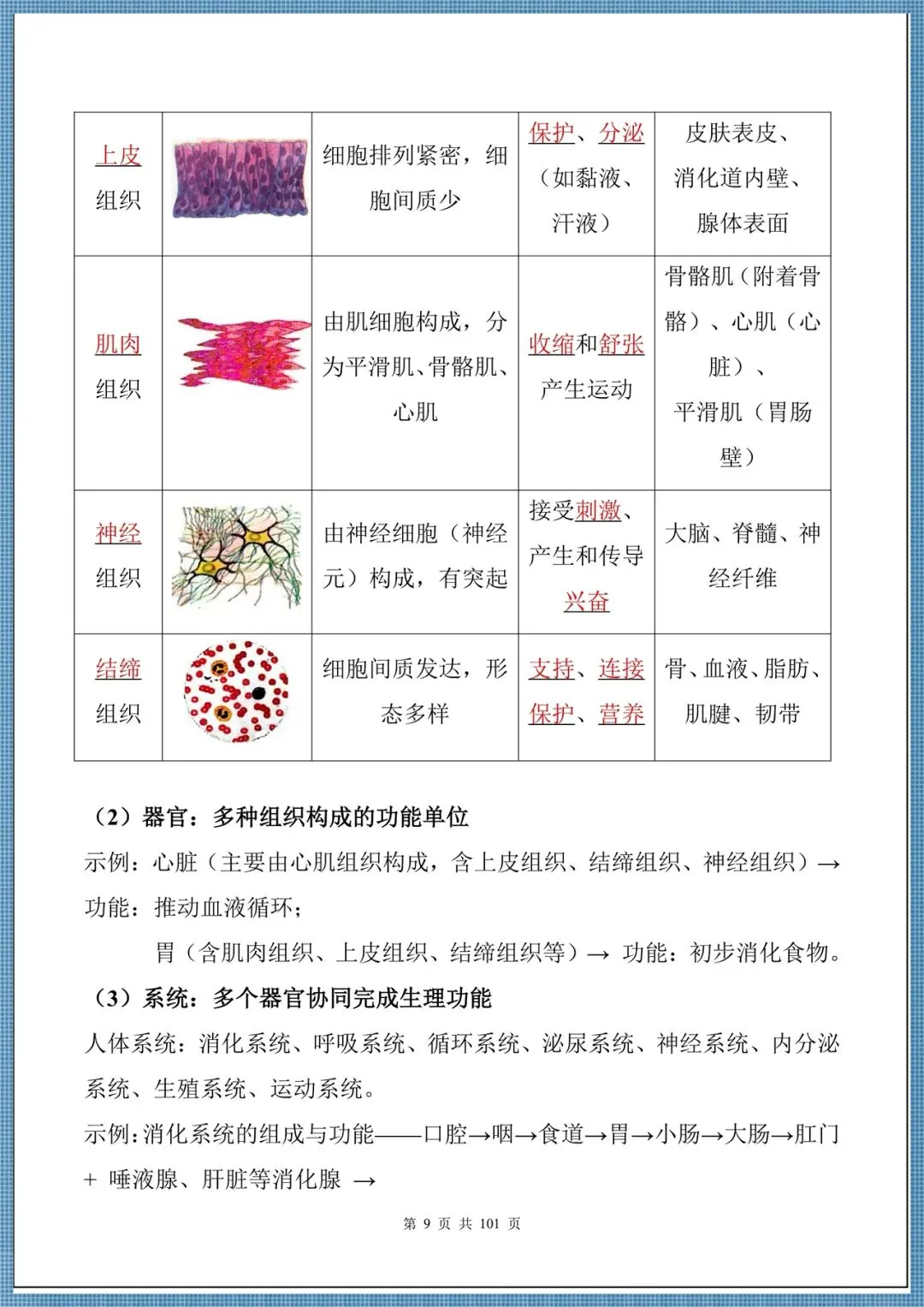 生地会考|2026中考生物必背核心考点汇总(背诵掌握),电子版可打印!-第9张图片-四季读书网 生地会考|2026中考生物必背核心考点汇总(背诵掌握),电子版可打印!-第9张图片-四季读书网