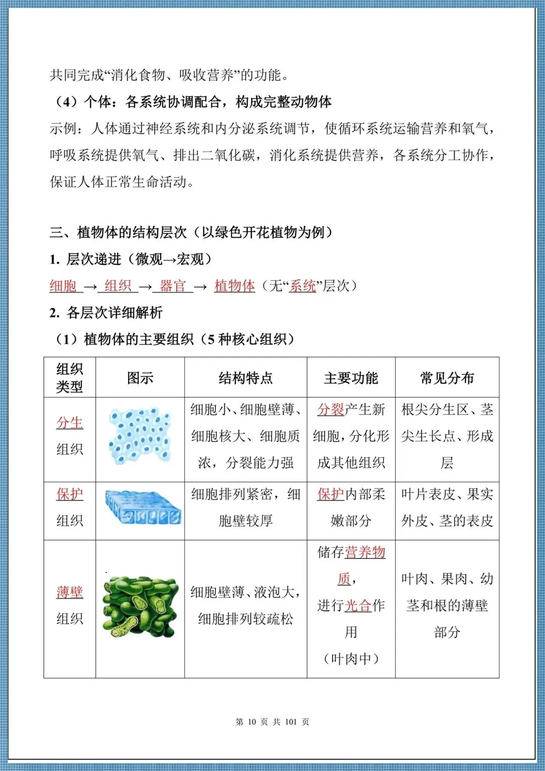 生地会考|2026中考生物必背核心考点汇总(背诵掌握),电子版可打印!-第10张图片-四季读书网 生地会考|2026中考生物必背核心考点汇总(背诵掌握),电子版可打印!-第10张图片-四季读书网
